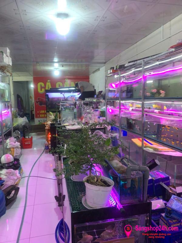 Sang nhượng cửa hàng