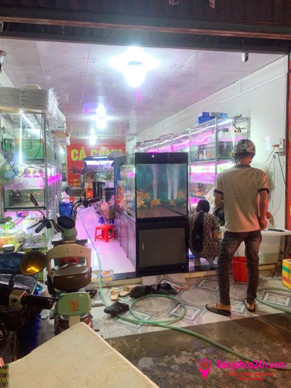Sang nhượng cửa hàng