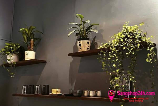 Sang quán cafe