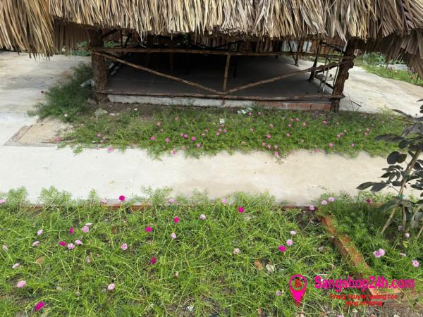 Sang quán ăn - nhậu