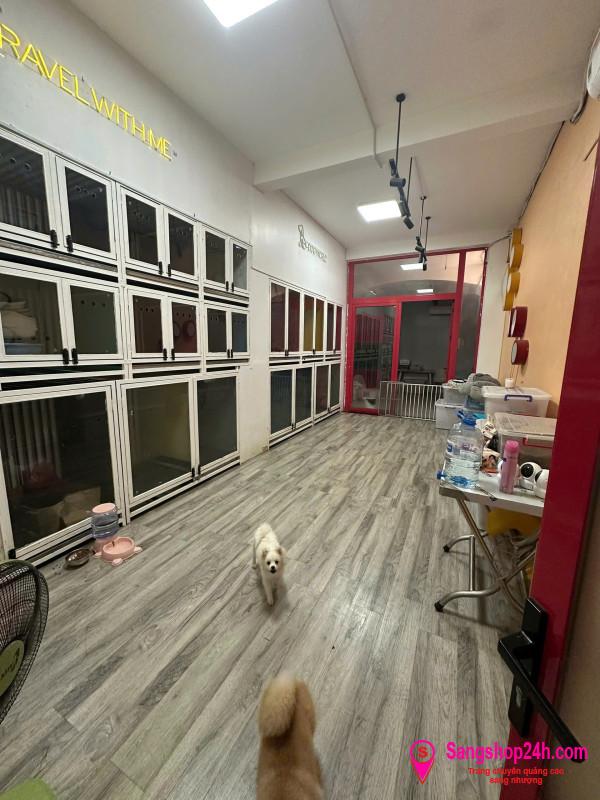 Sang cửa hàng thú nuôi