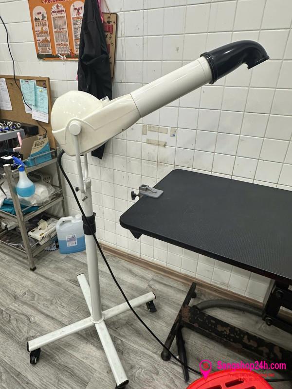 Sang cửa hàng thú nuôi